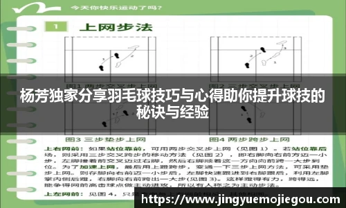 杨芳独家分享羽毛球技巧与心得助你提升球技的秘诀与经验